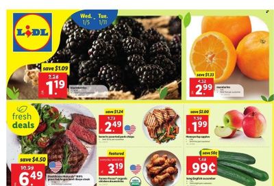 Lidl (GA, MD, NC, NJ, PA, SC, VA) Weekly Ad Flyer January 3 to January 10