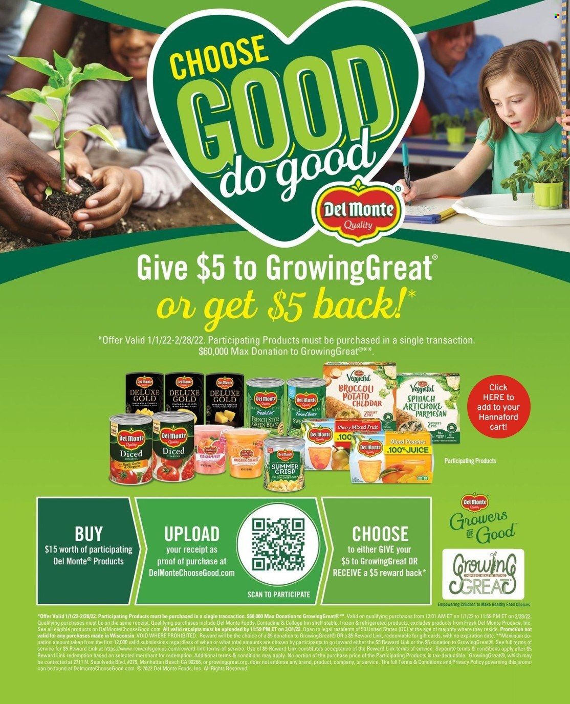 Hannaford (MA, ME, NH, NY, VT) Weekly Ad Flyer January 5 to January 12