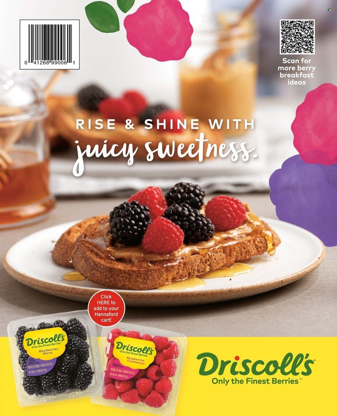 Hannaford (MA, ME, NH, NY, VT) Weekly Ad Flyer January 5 to January 12