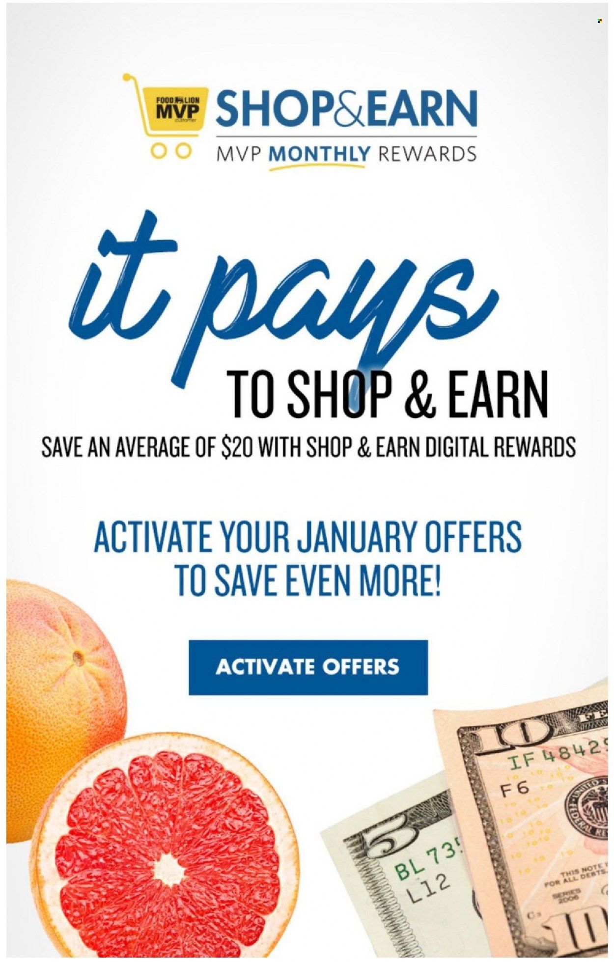 Food Lion (SC) Weekly Ad Flyer January 5 to January 12