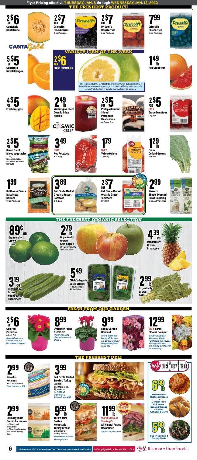 Big Y (CT) Weekly Ad Flyer January 5 to January 12
