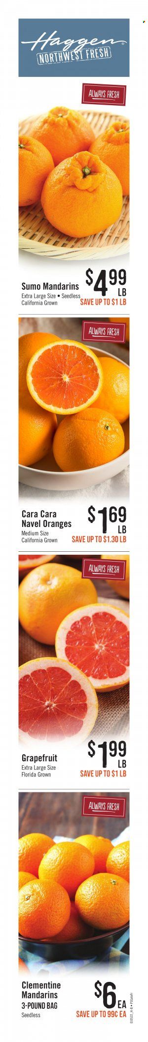 Haggen (WA) Weekly Ad Flyer January 5 to January 12
