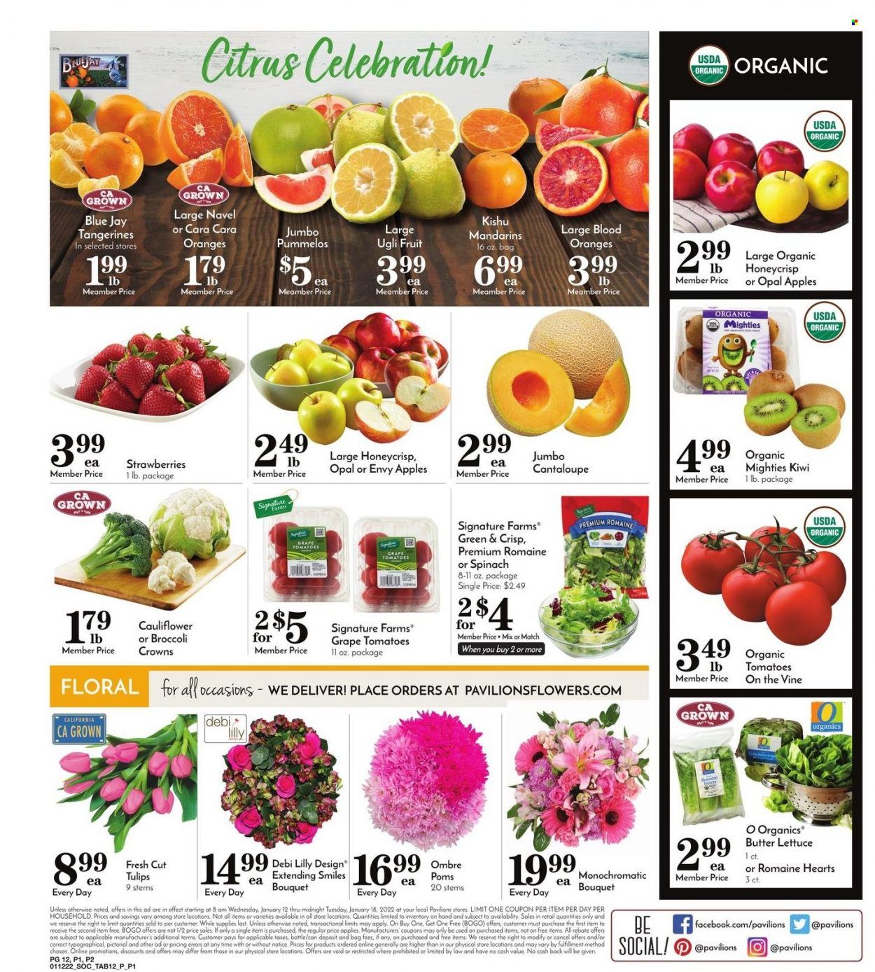 Pavilions (CA) Weekly Ad Flyer January 12 to January 19