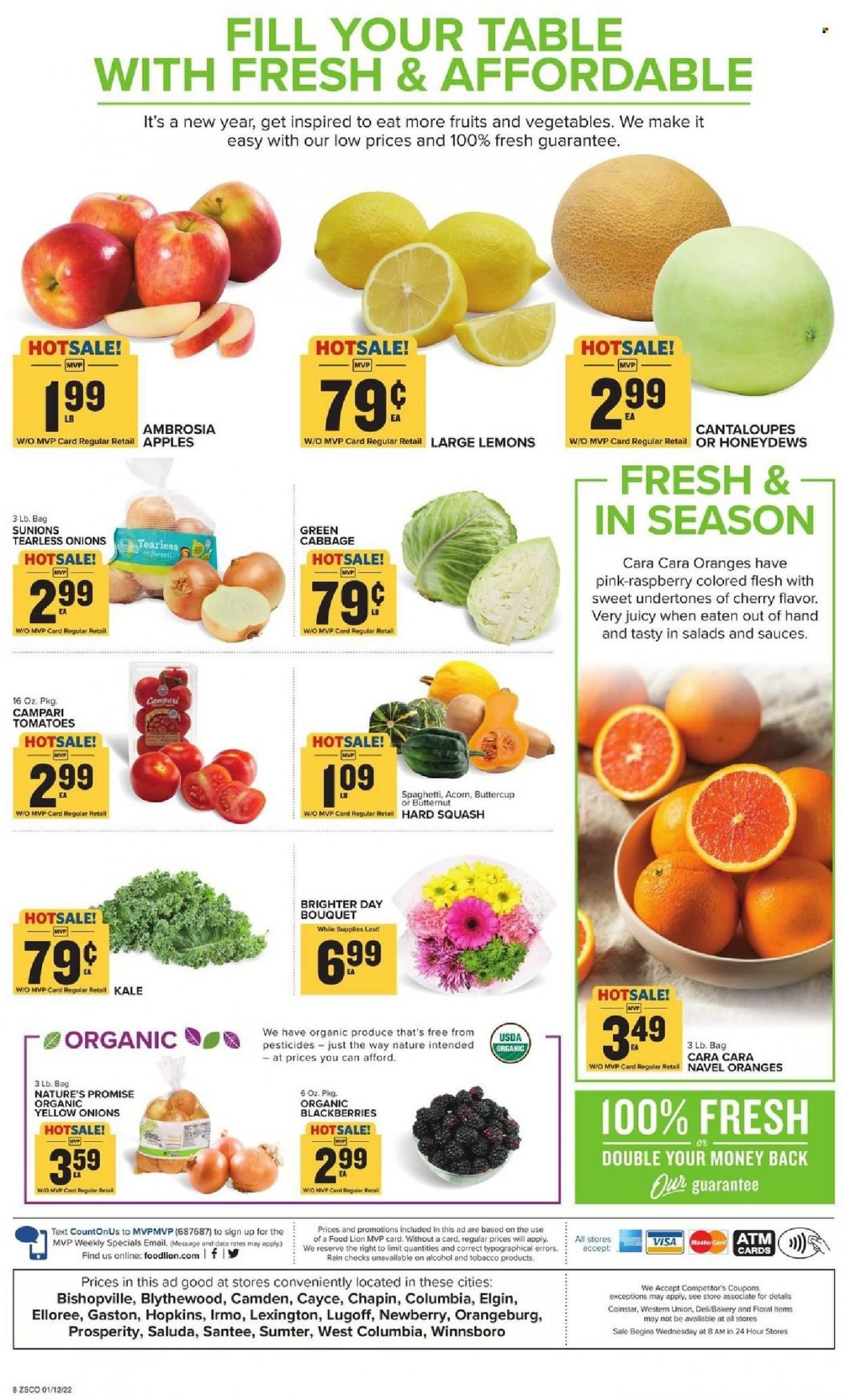 Food Lion (SC) Weekly Ad Flyer January 12 to January 19