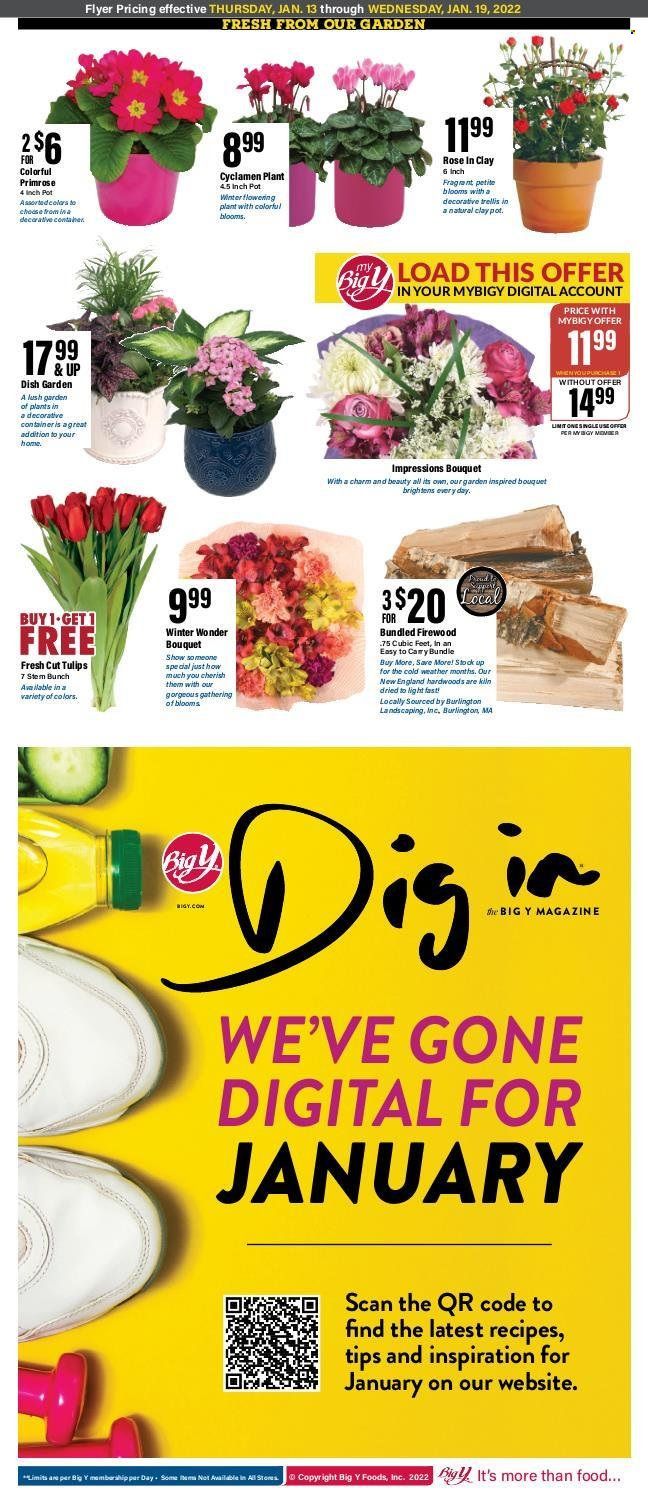 Big Y (CT) Weekly Ad Flyer January 13 to January 20