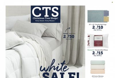 Christmas Tree Shops Weekly Ad Flyer January 13 to January 20