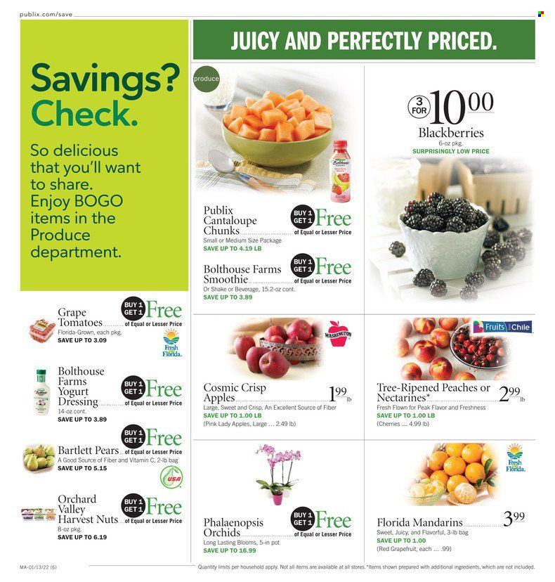 Publix (AL, FL, GA, NC, SC, TN) Weekly Ad Flyer January 13 to January 20
