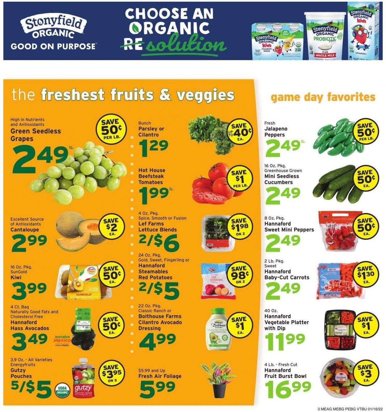 Hannaford (VT) Weekly Ad Flyer January 15 to January 22