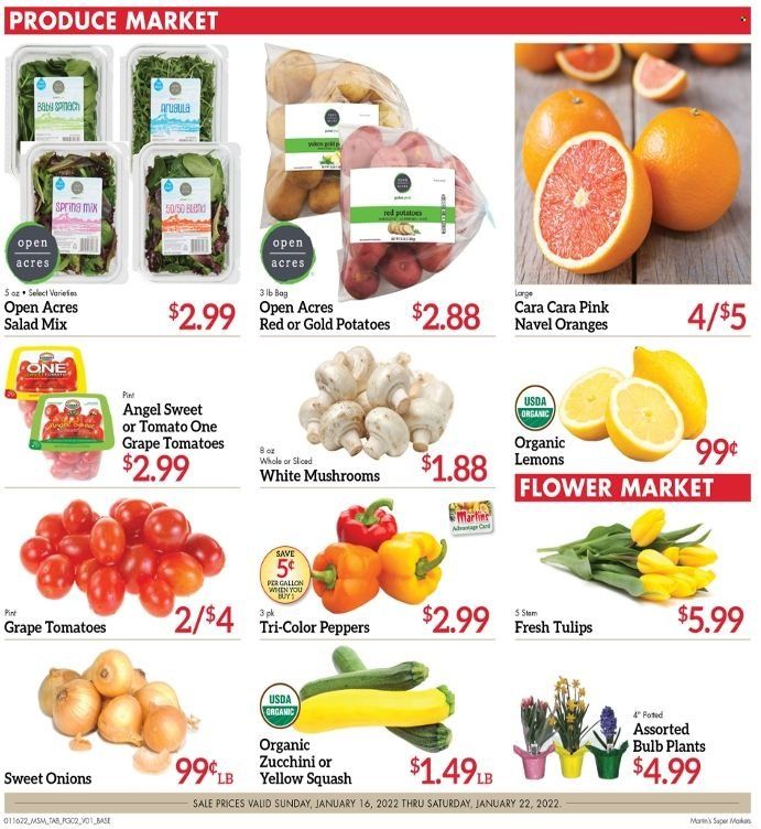Martin’s (IN, MI) Weekly Ad Flyer January 15 to January 22