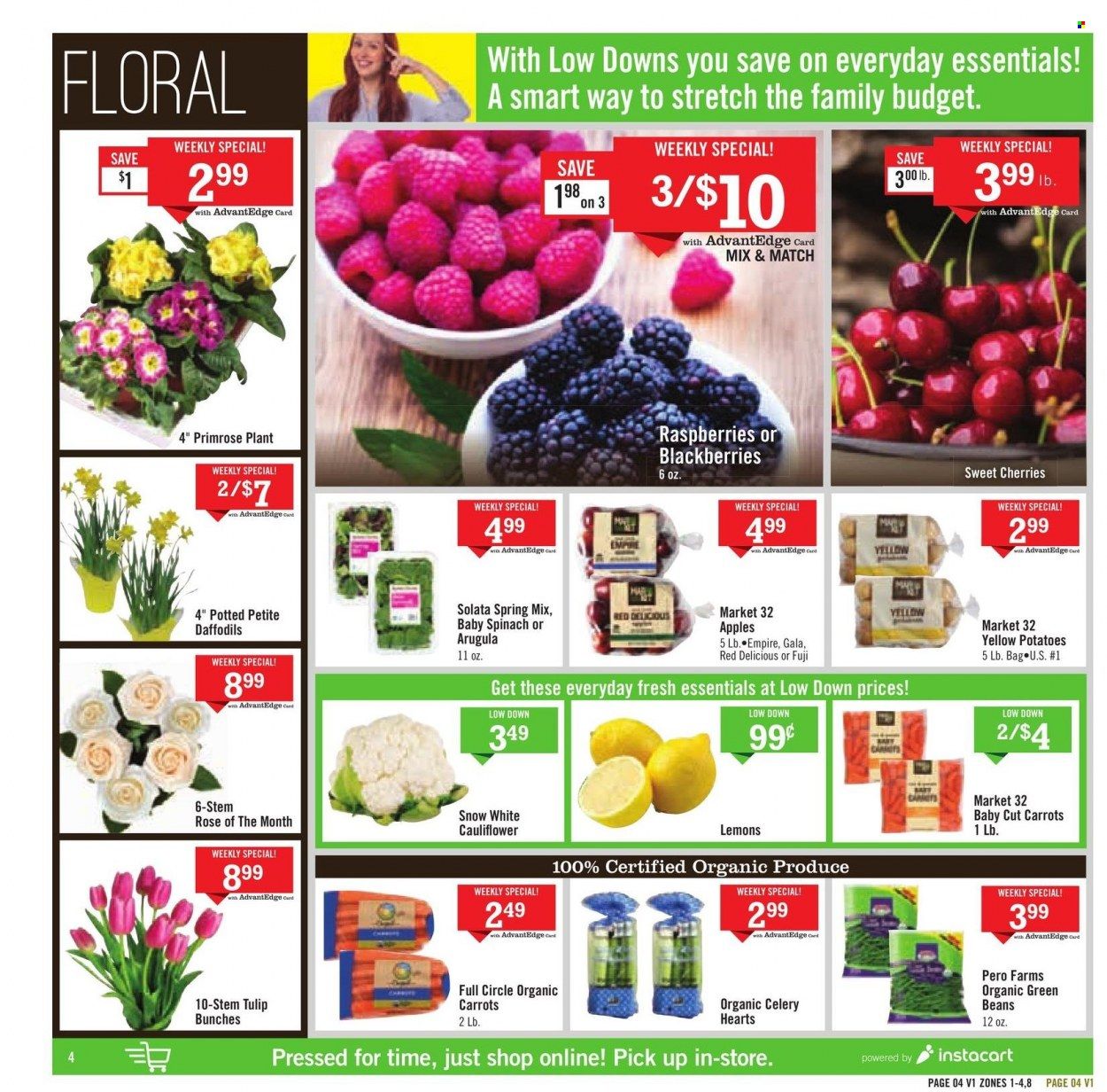 Price Chopper (CT, MA, NY, PA, VT) Weekly Ad Flyer January 16 to January 23