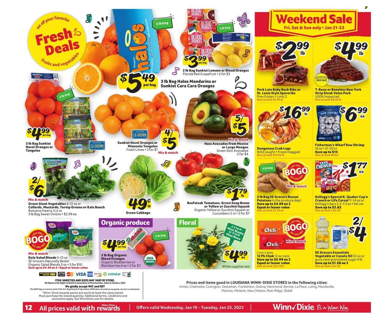 Winn Dixie (AL, FL, GA, LA) Weekly Ad Flyer January 19 to January 26
