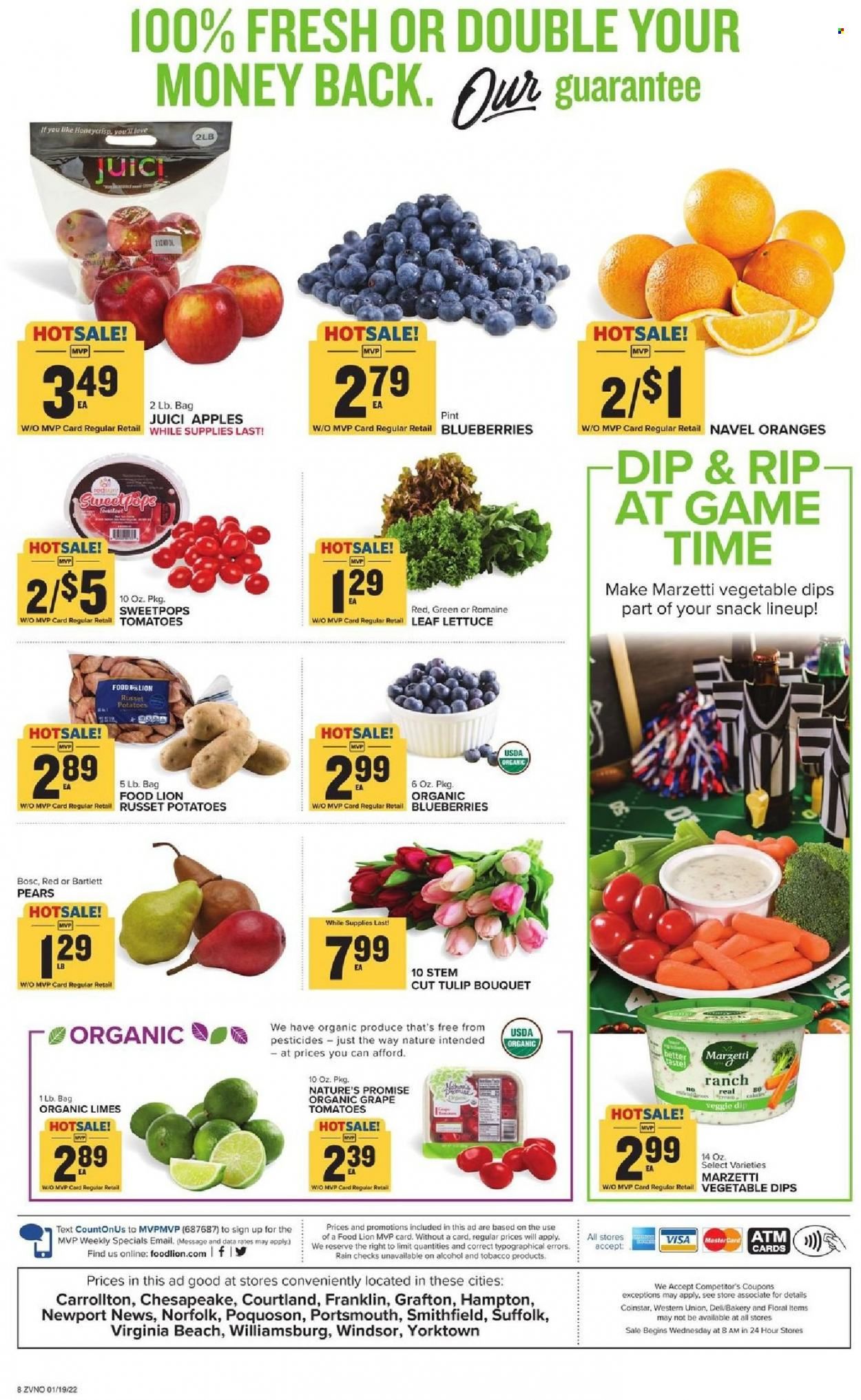Food Lion (VA) Weekly Ad Flyer January 19 to January 26