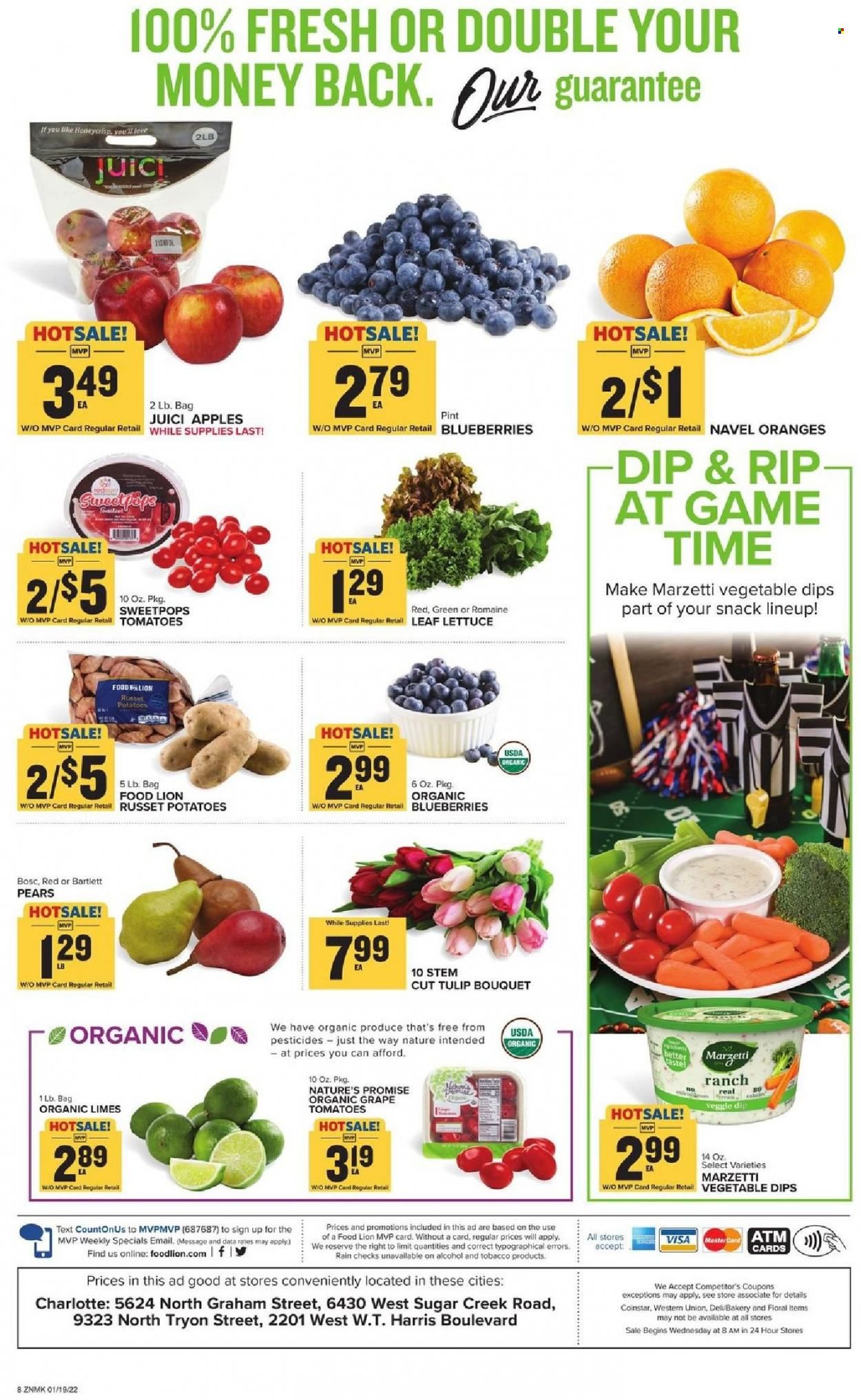 Food Lion (NC) Weekly Ad Flyer January 19 to January 26