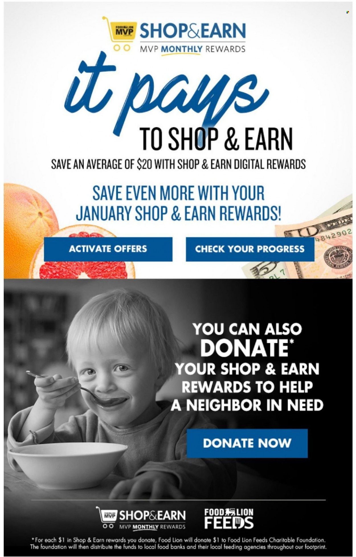 Food Lion (NC) Weekly Ad Flyer January 19 to January 26