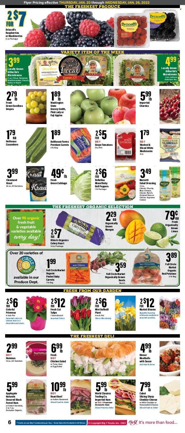 Big Y (CT) Weekly Ad Flyer January 19 to January 26