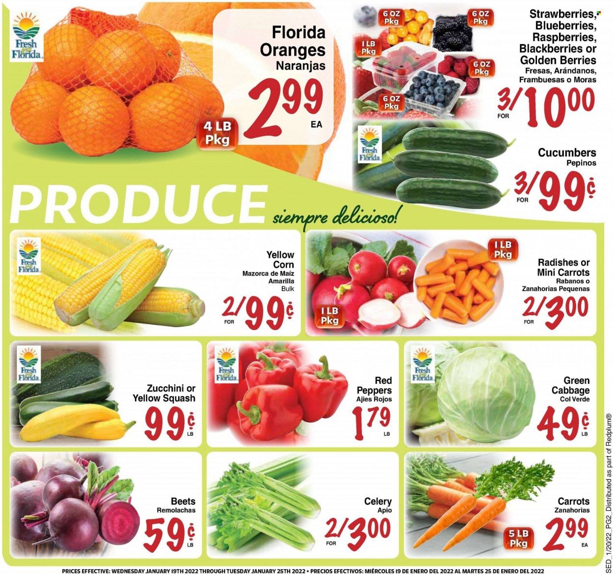 Sedano's (FL) Weekly Ad Flyer January 20 to January 27