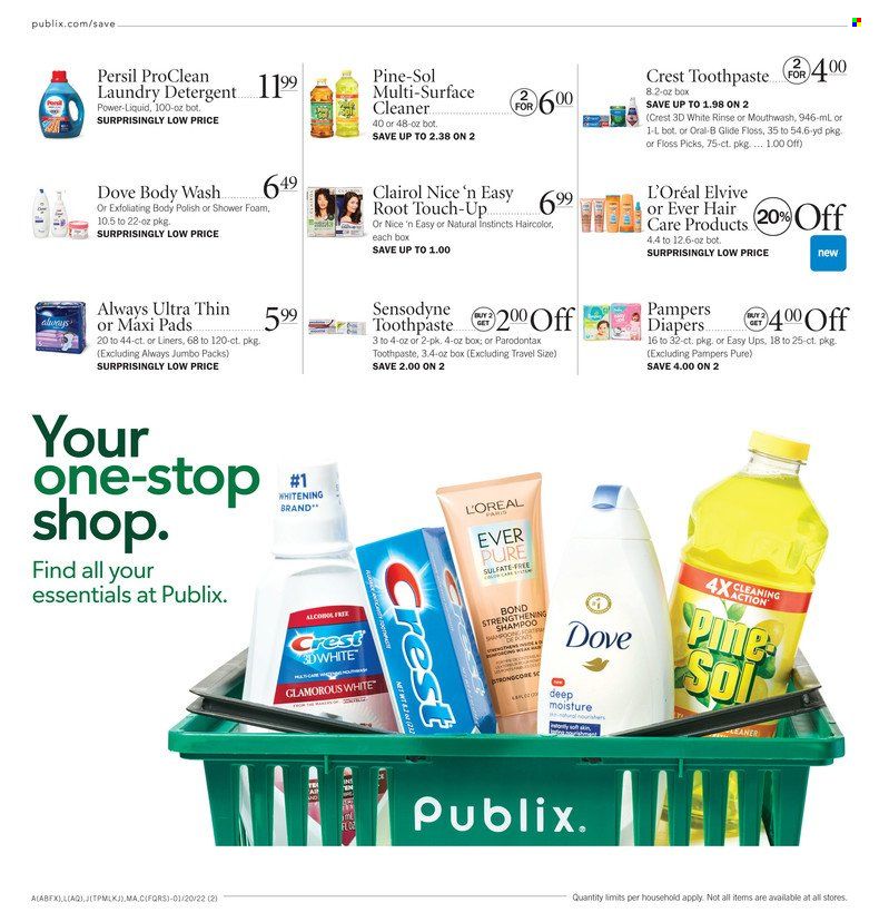 Publix (AL, FL, GA, NC, SC, TN) Weekly Ad Flyer January 20 to January 27