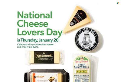 Publix (AL, FL, GA, NC, SC, TN) Weekly Ad Flyer January 20 to January 27