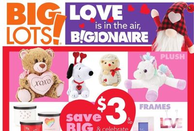 Big Lots Weekly Ad Flyer January 22 to January 29