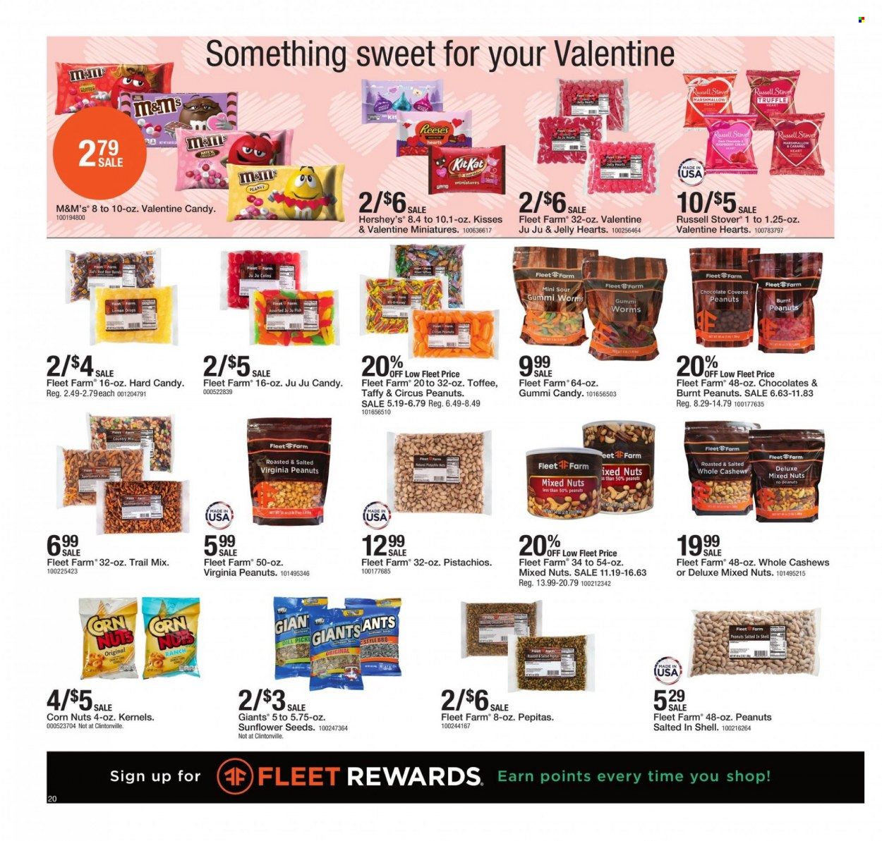 Fleet Farm (IA, MN, ND, WI) Weekly Ad Flyer January 22 to January 29