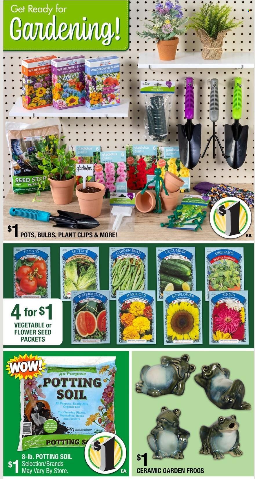 Dollar Tree Weekly Ad Flyer January 23 to January 30
