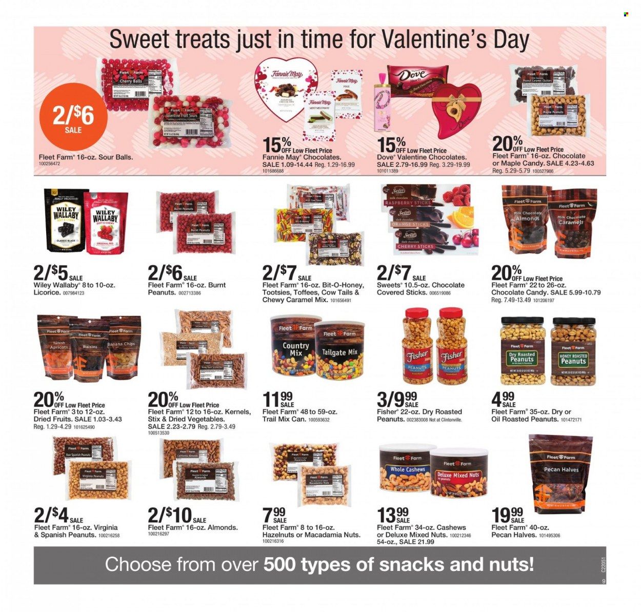 Fleet Farm (IA, MN, ND, WI) Weekly Ad Flyer January 29 to February 5