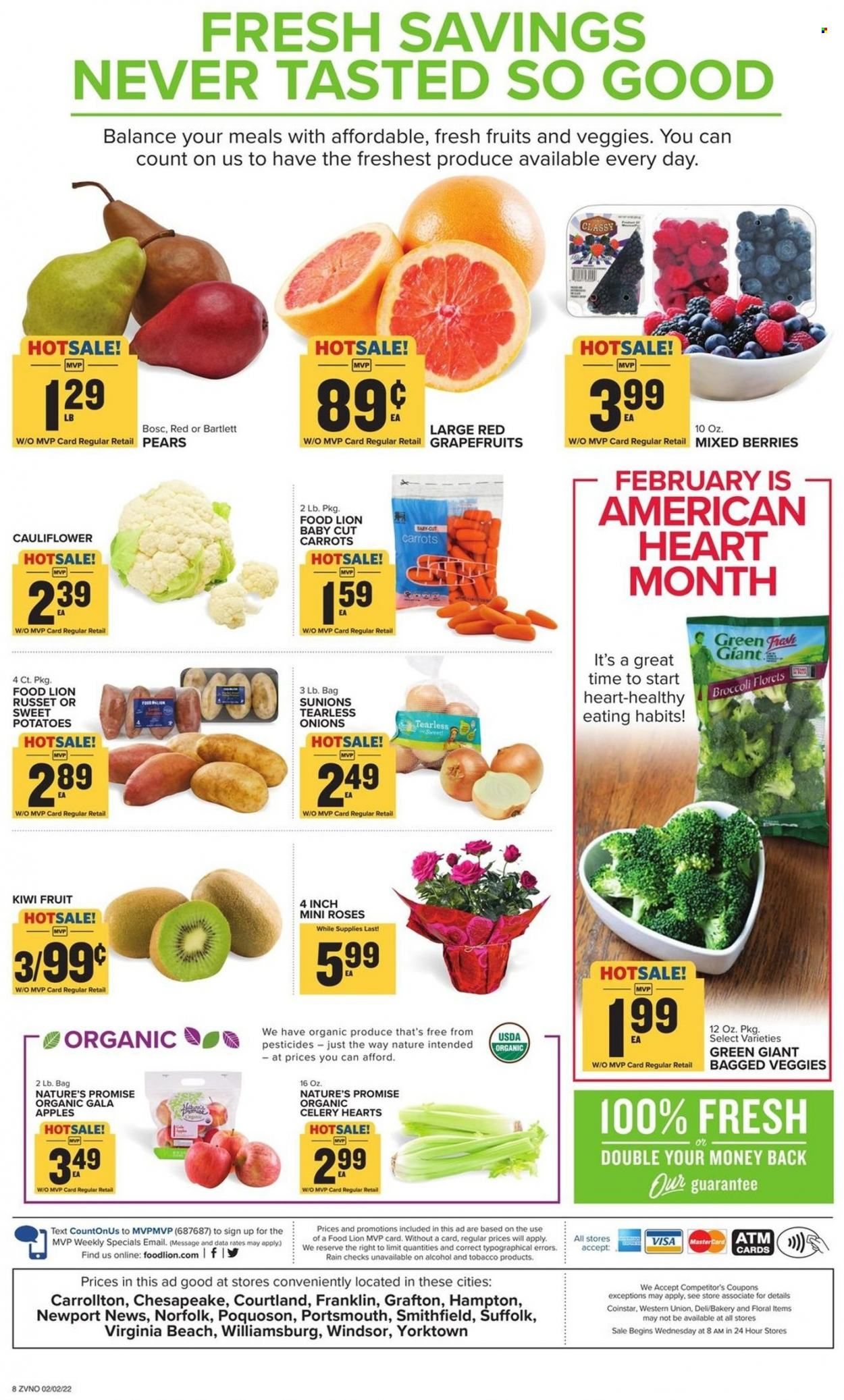 Food Lion (VA) Weekly Ad Flyer February 2 to February 9