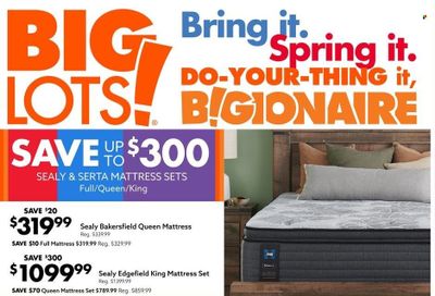 Big Lots Weekly Ad Flyer February 6 to February 13