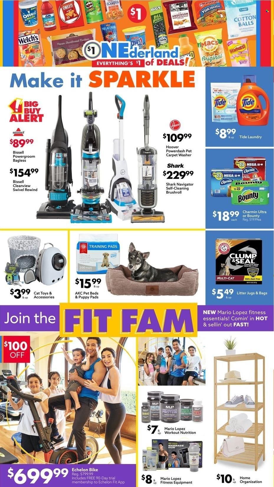 Big Lots Weekly Ad Flyer February 6 to February 13