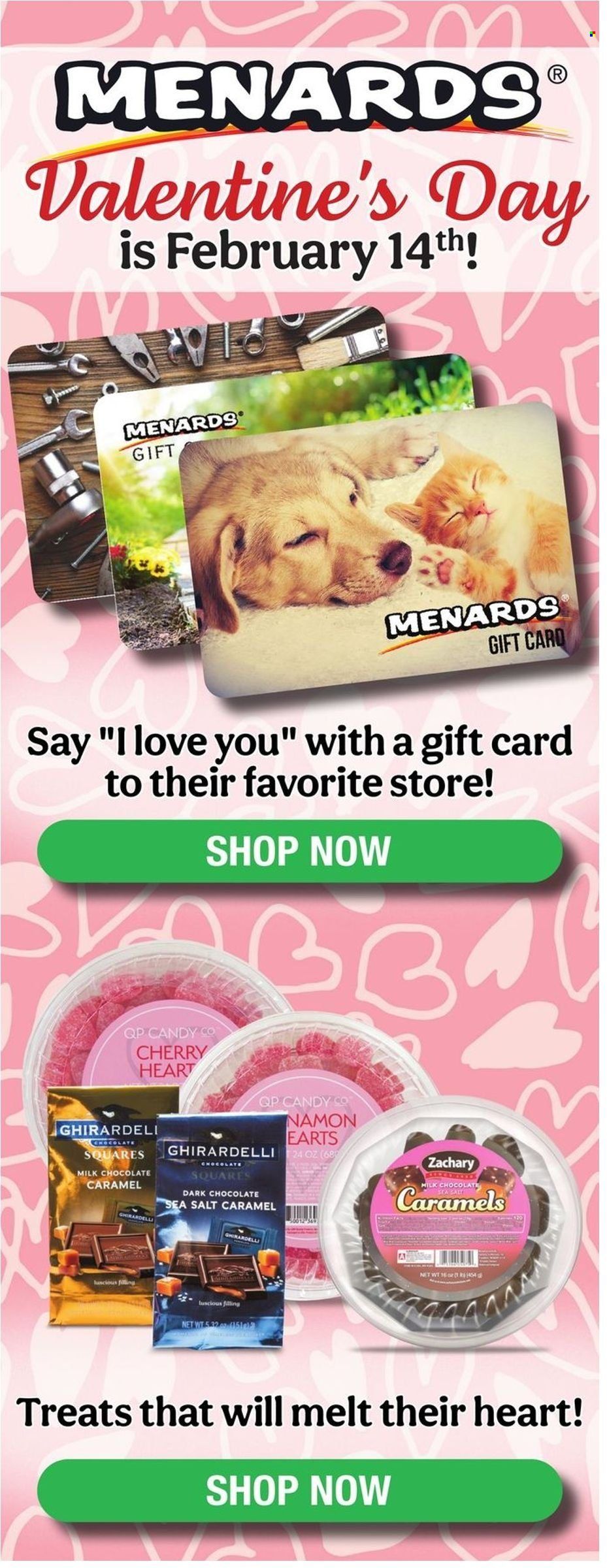 Menards Weekly Ad Flyer February 6 to February 13