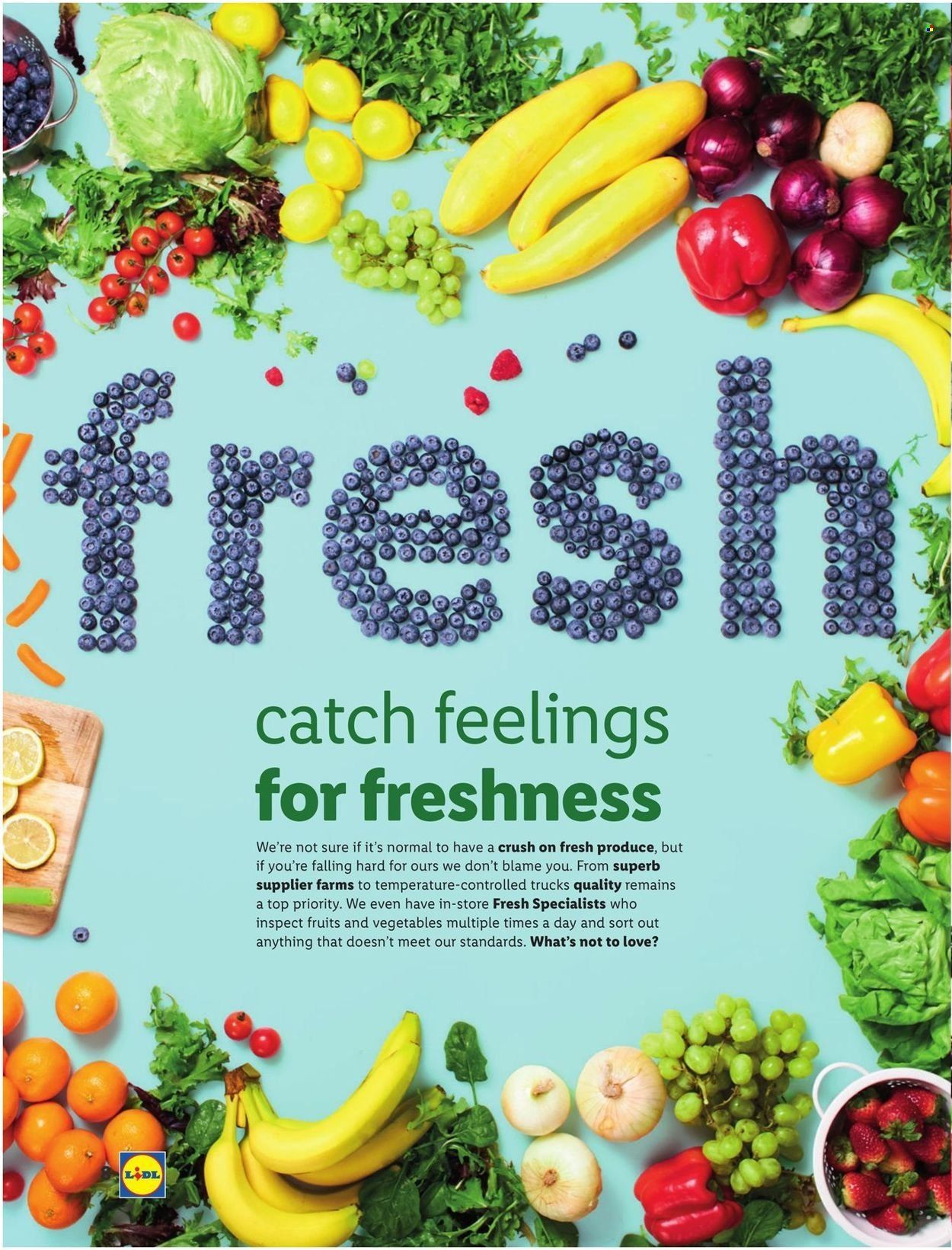 Lidl (GA, MD, NC, NJ, PA, SC, VA) Weekly Ad Flyer February 6 to February 13