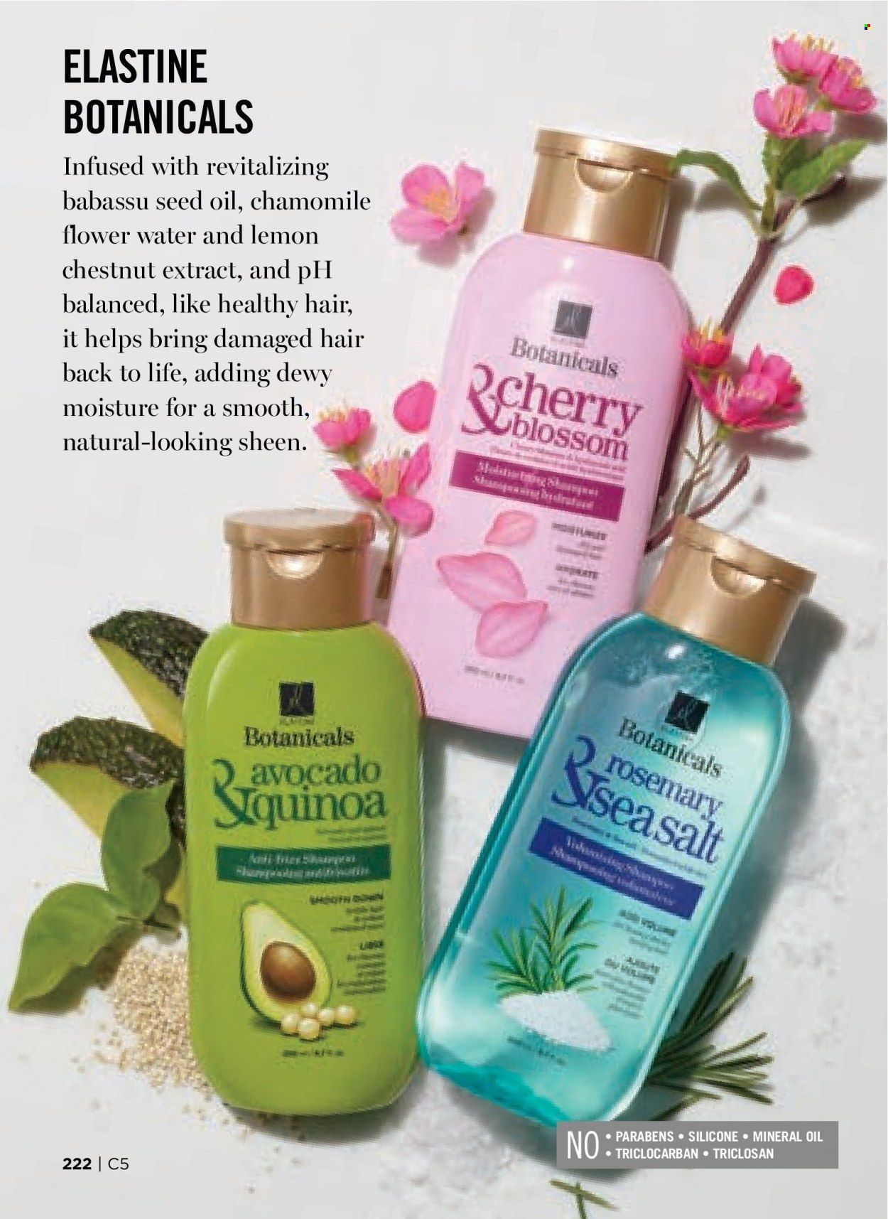 Avon Weekly Ad Flyer February 7 to February 14