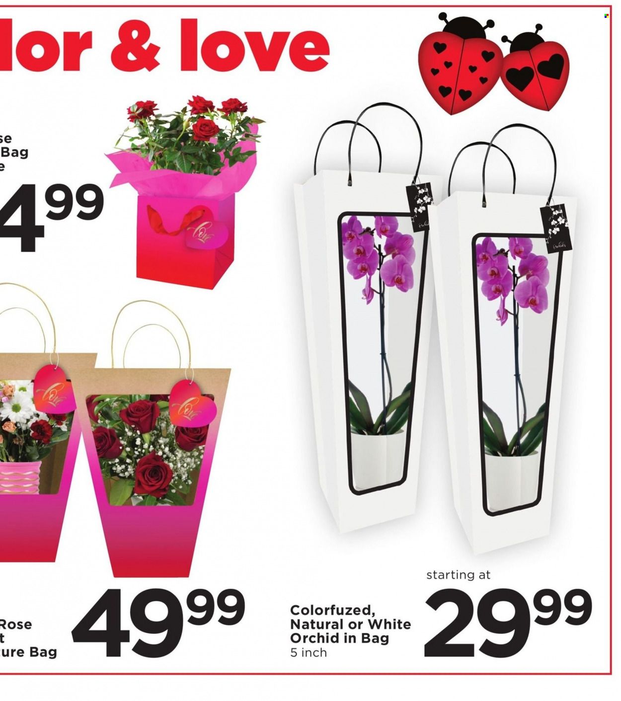 Cub Foods (MN) Weekly Ad Flyer February 17 to February 24