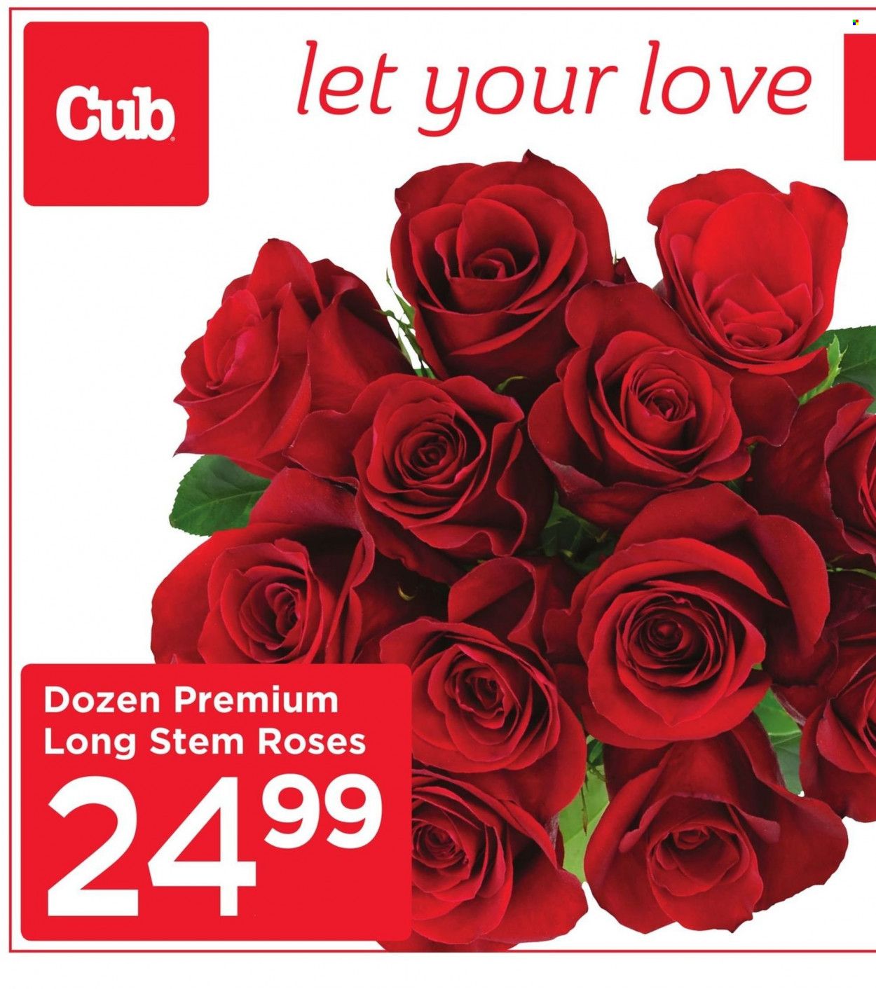 Cub Foods (MN) Weekly Ad Flyer February 17 to February 24