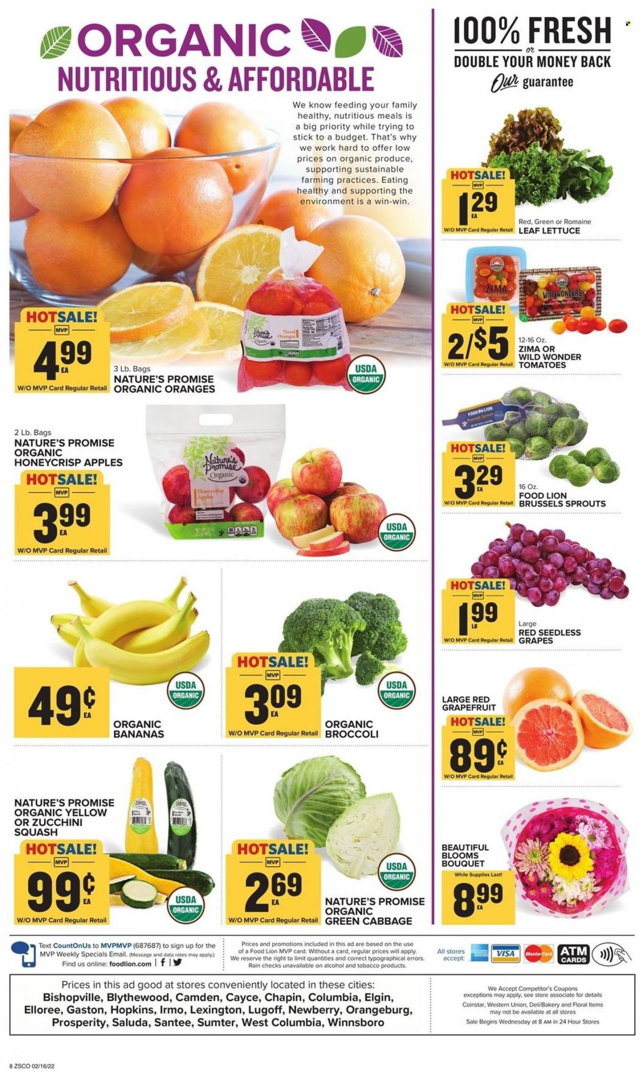 Food Lion (SC) Weekly Ad Flyer February 17 to February 24
