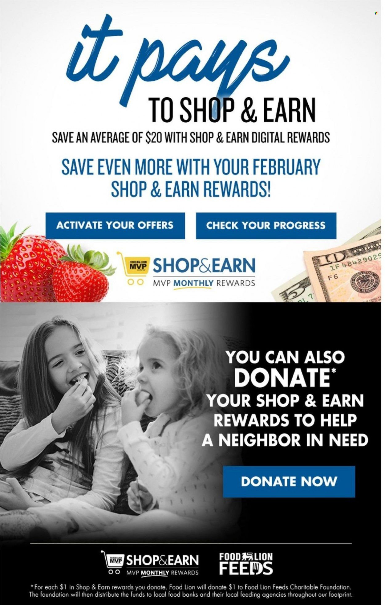 Food Lion (SC) Weekly Ad Flyer February 17 to February 24