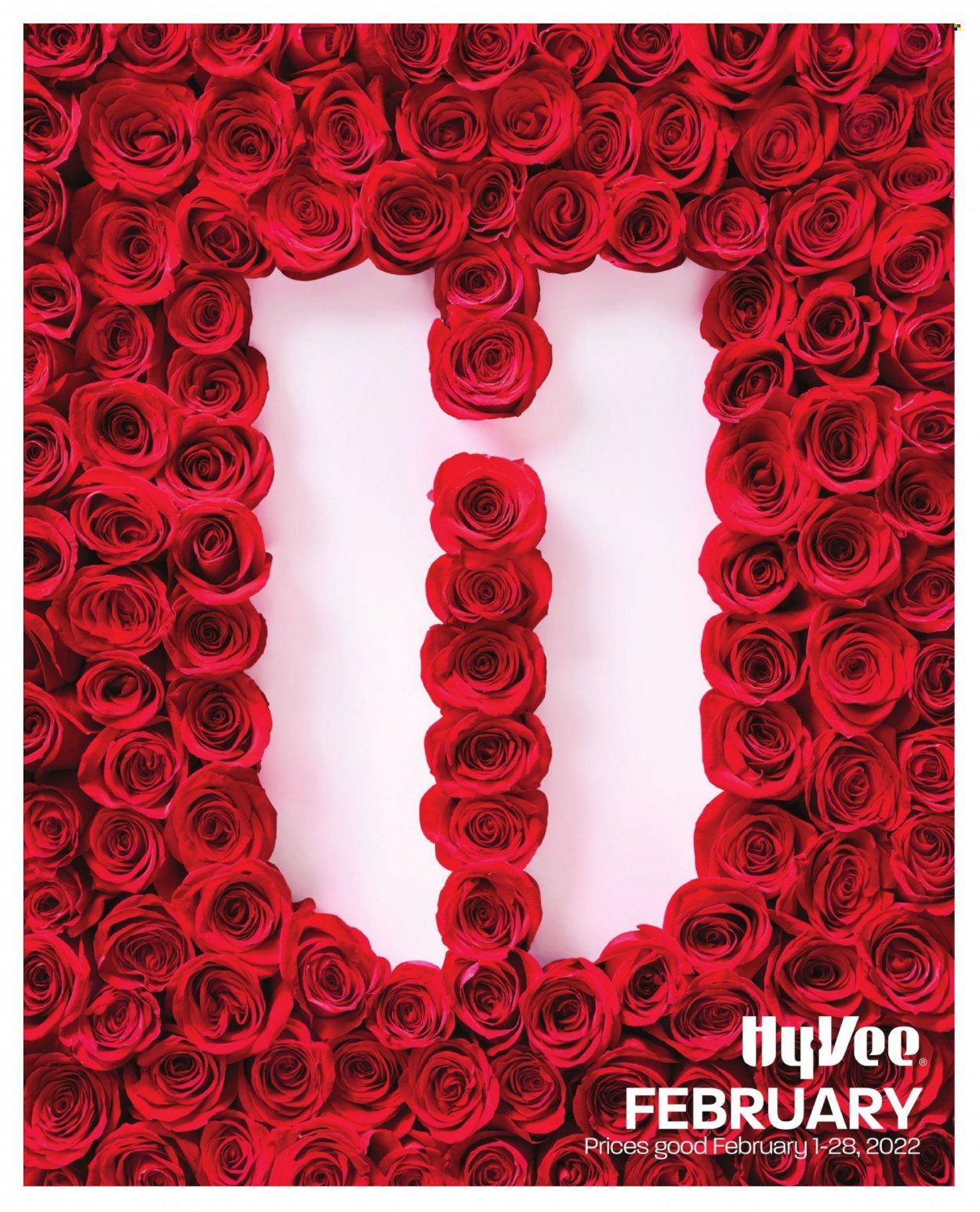 Hy-Vee (IA, IL, MN, MO, SD) Weekly Ad Flyer February 17 to February 24