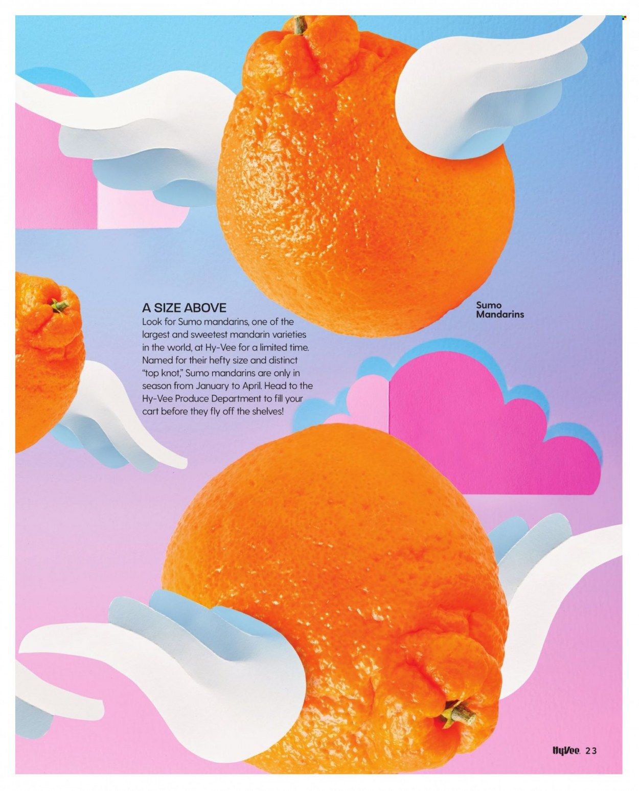Hy-Vee (IA, IL, MN, MO, SD) Weekly Ad Flyer February 17 to February 24