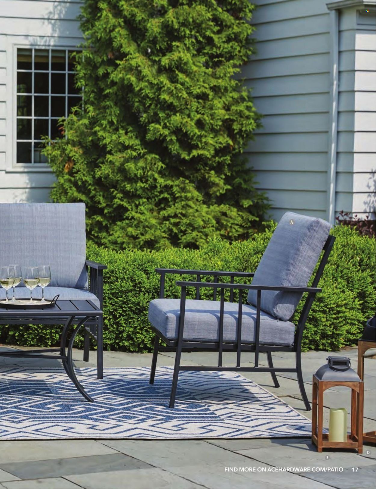 ACE Hardware Patio Catalog 2022 Weekly Ad Flyer Specials February 1 to December 31, 2022