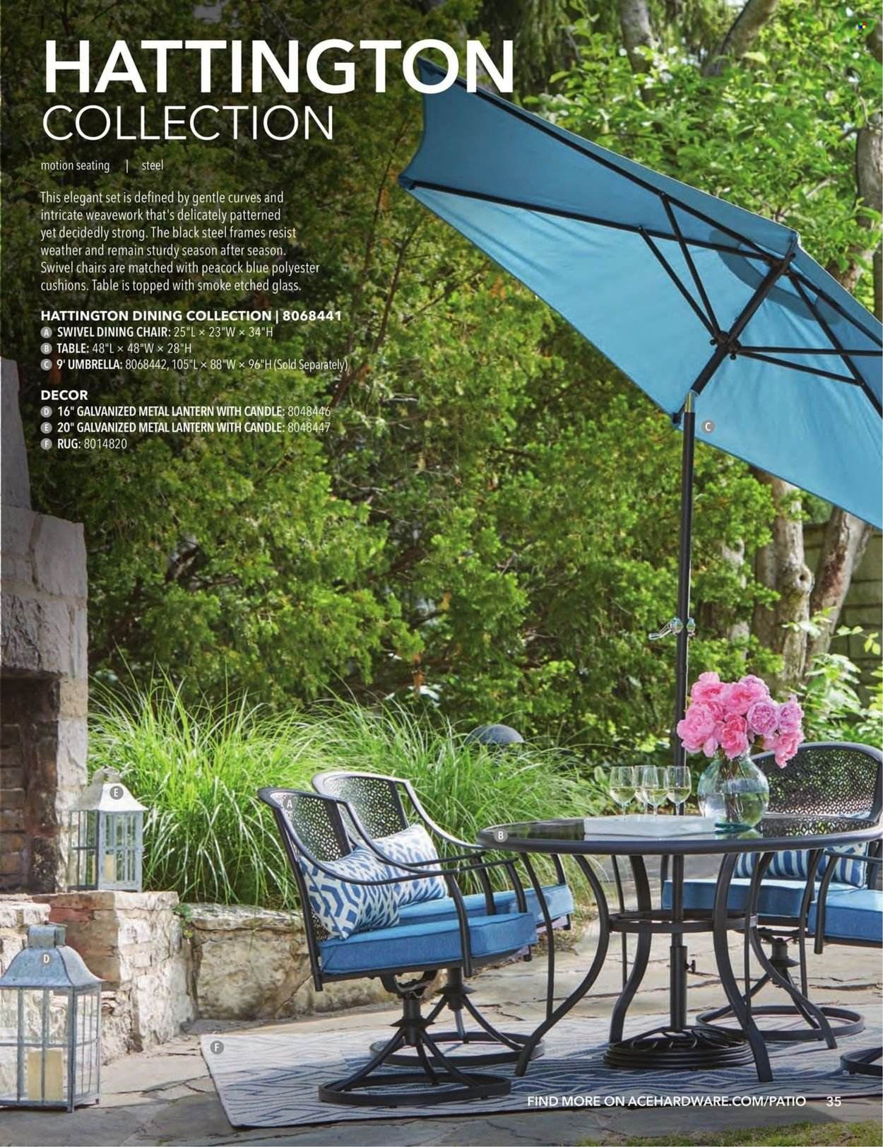 ACE Hardware Patio Catalog 2022 Weekly Ad Flyer Specials February 1 to December 31, 2022