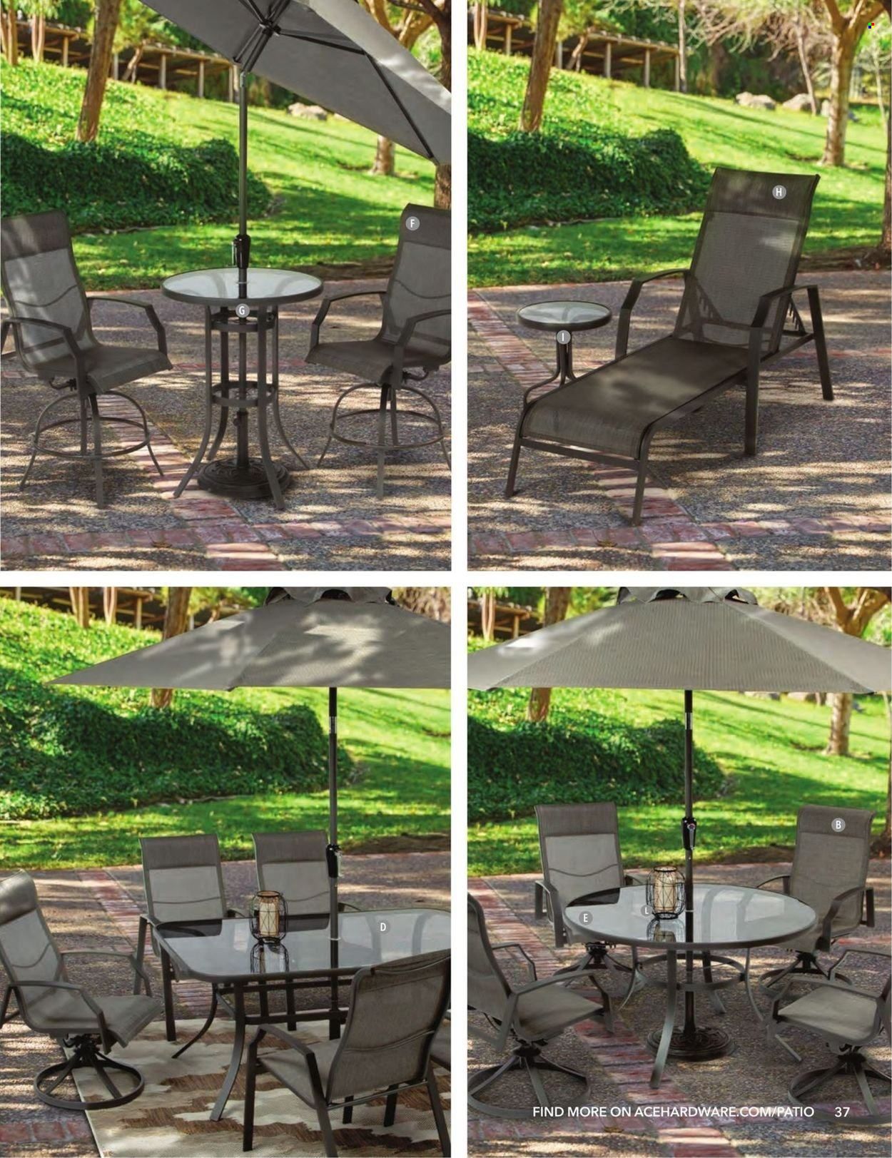 ACE Hardware Patio Catalog 2022 Weekly Ad Flyer Specials February 1 to December 31, 2022
