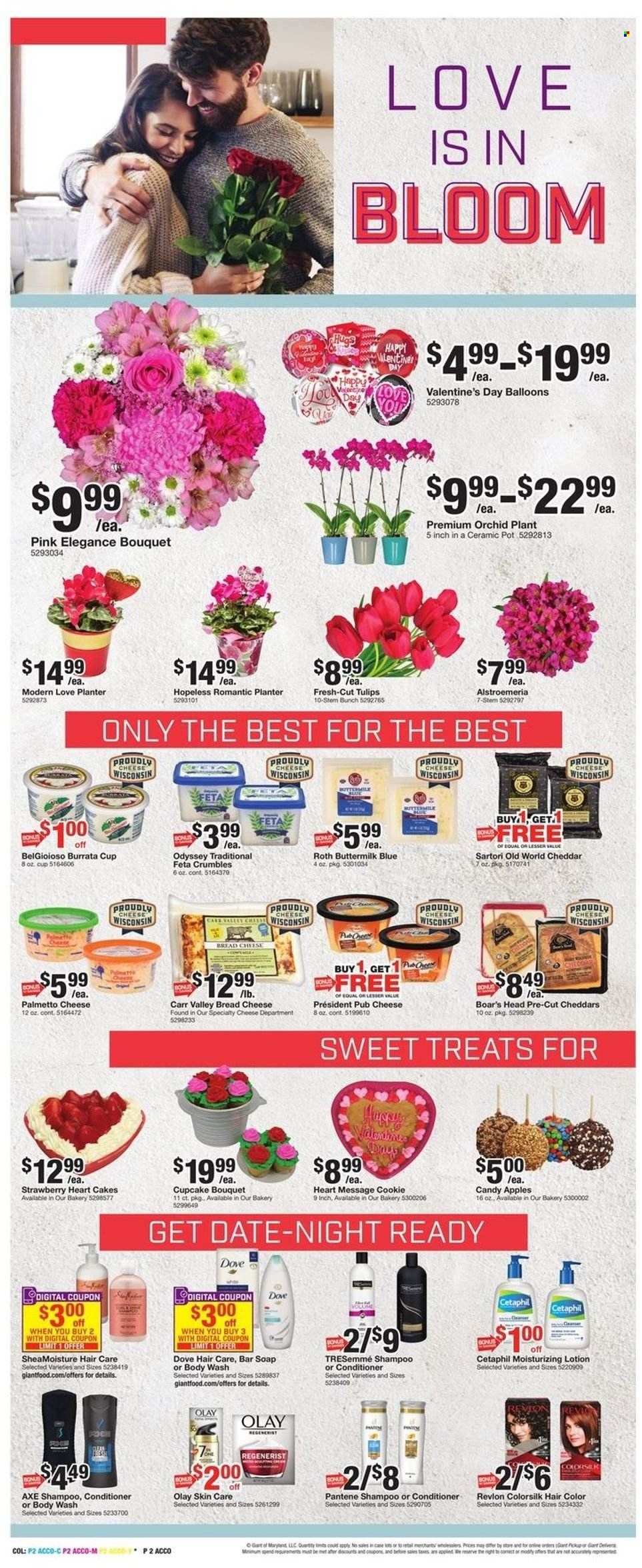Giant Food (DE, MD, VA) Weekly Ad Flyer February 17 to February 24