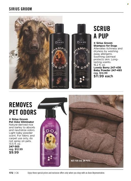 Avon Weekly Ad Flyer February 17 to February 24