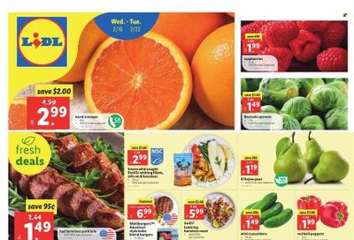 Lidl (GA, MD, NC, NJ, PA, SC, VA) Weekly Ad Flyer February 17 to February 24