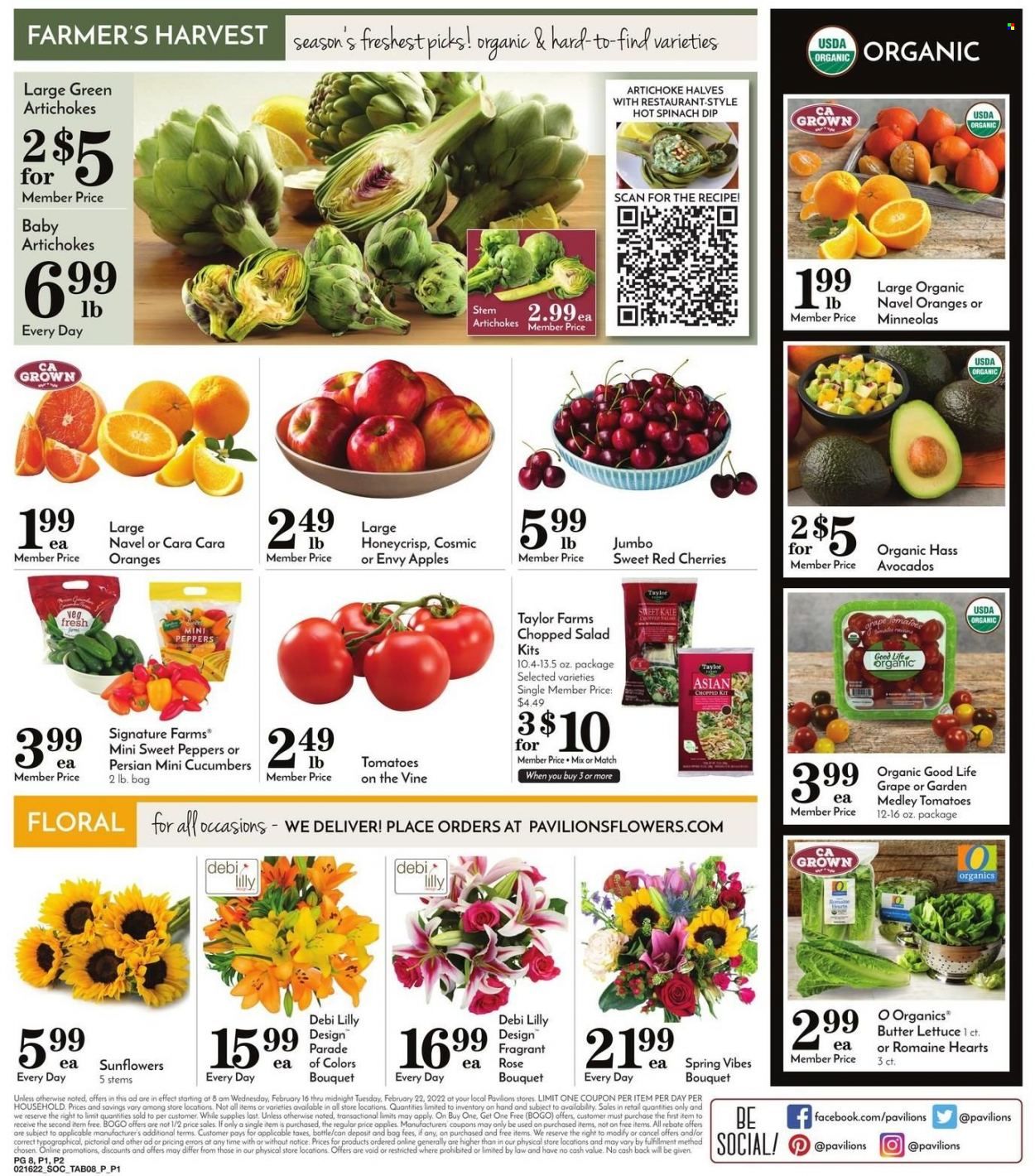 Pavilions (CA) Weekly Ad Flyer February 17 to February 24