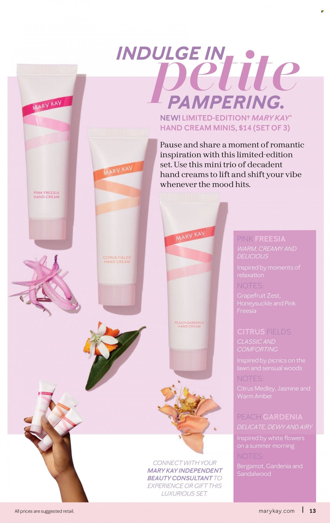 Mary Kay Weekly Ad Flyer February 17 to February 24