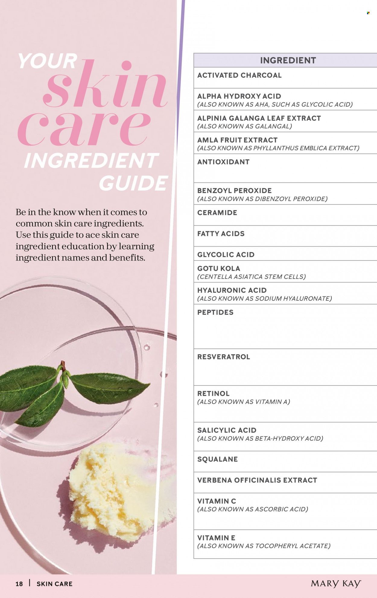 Mary Kay Weekly Ad Flyer February 17 to February 24