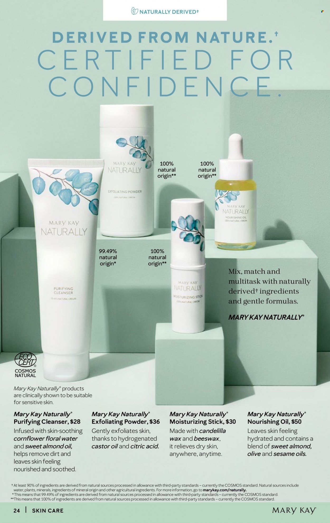 Mary Kay Weekly Ad Flyer February 17 to February 24