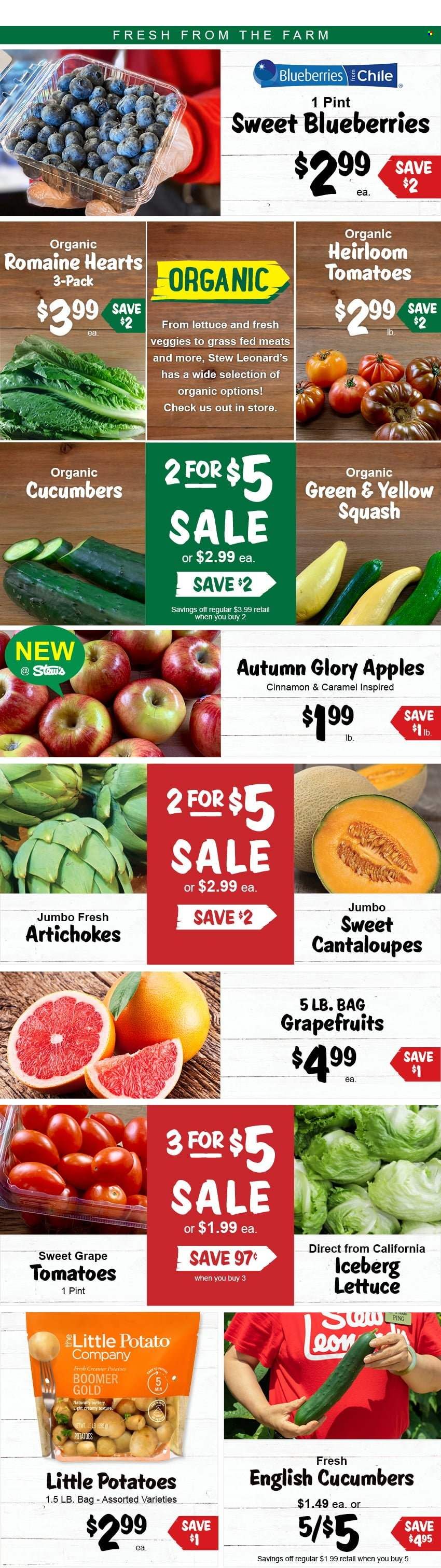 Stew Leonard's (CT, NJ, NY) Weekly Ad Flyer February 17 to February 24