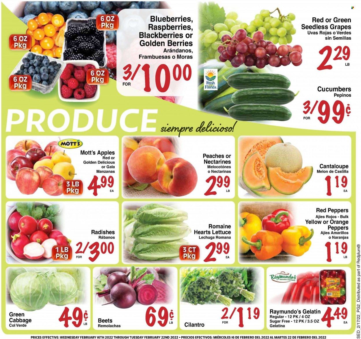 Sedano's (FL) Weekly Ad Flyer February 17 to February 24